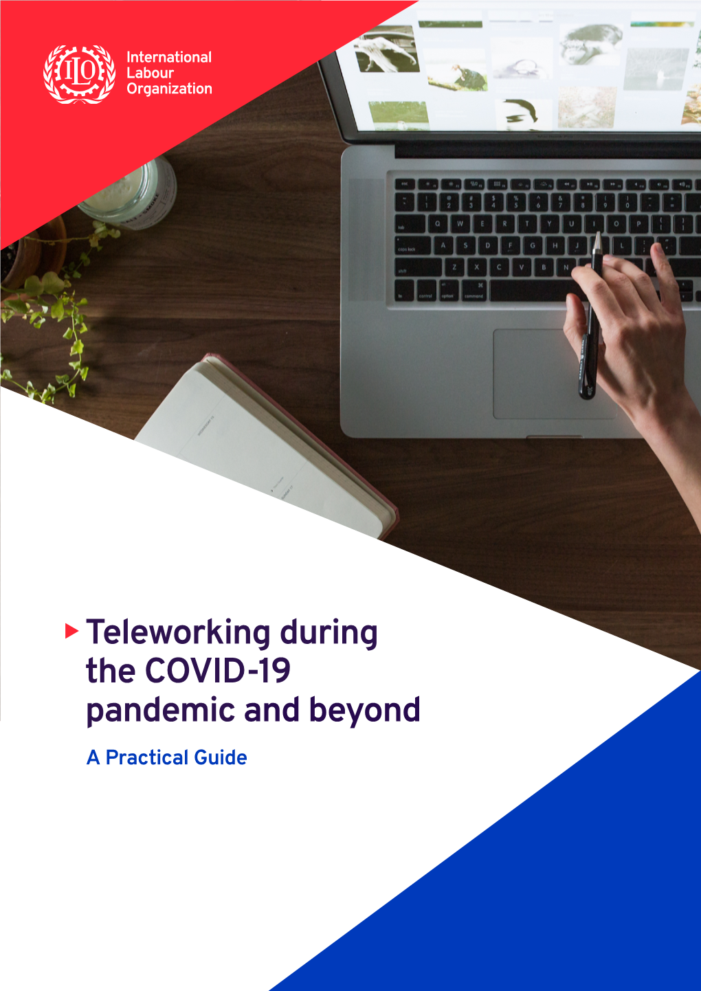 Teleworking During the COVID-19 Pandemic and Beyond