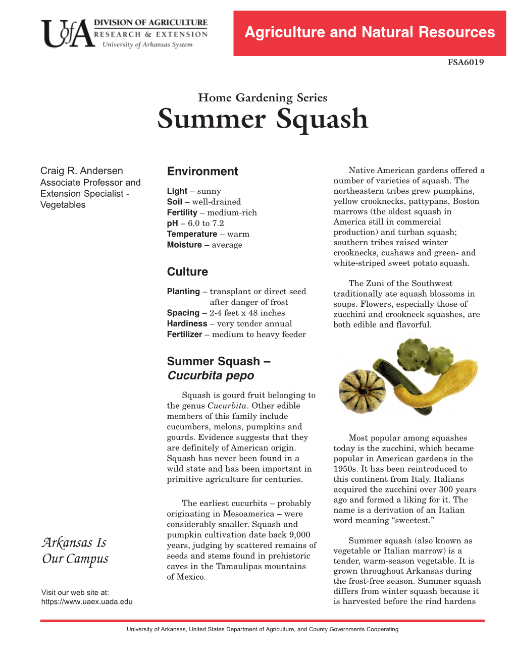 Summer Squash