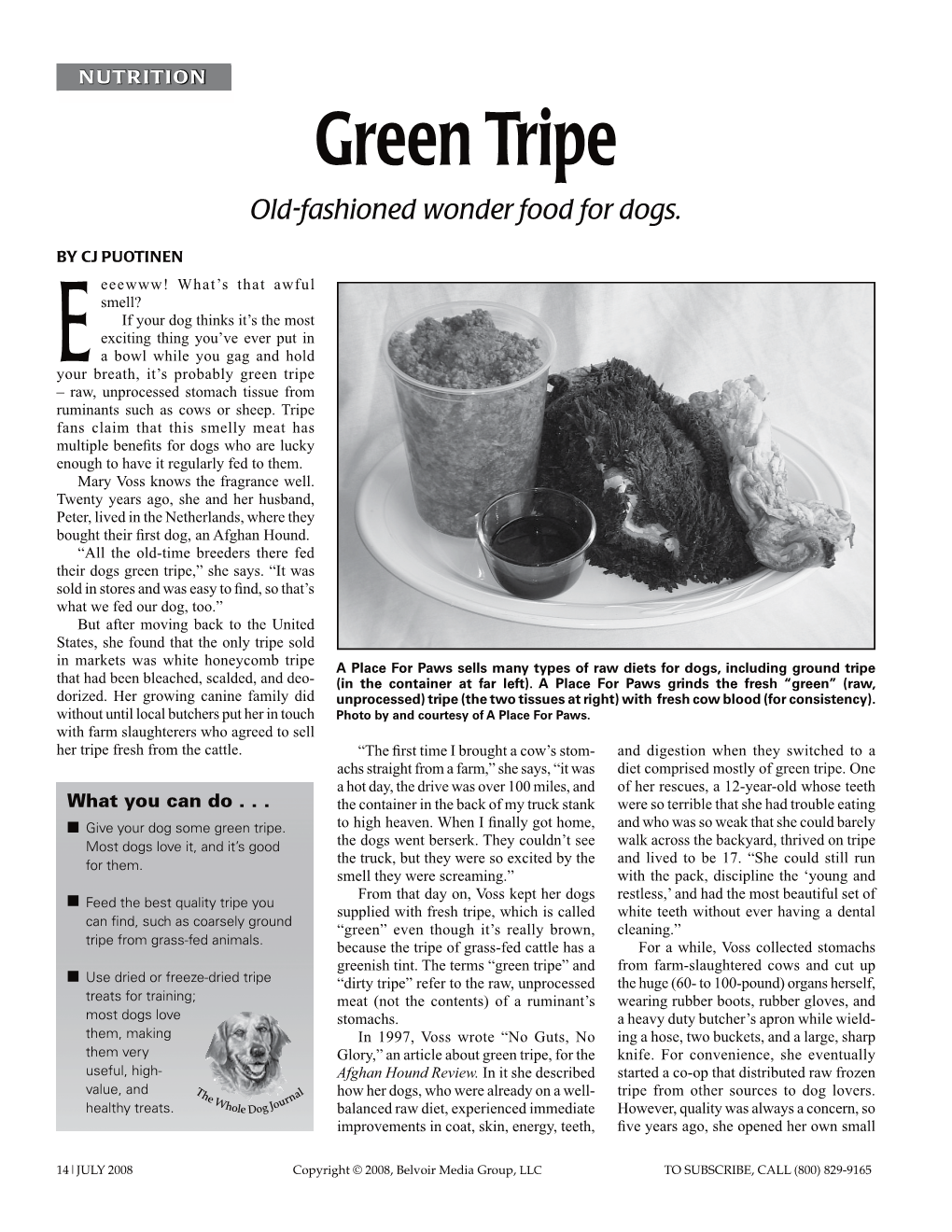 Green Tripe Old-Fashioned Wonder Food for Dogs