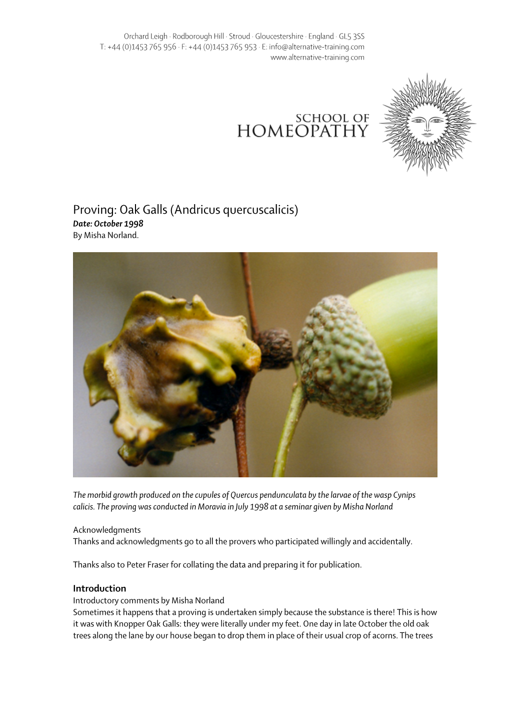 Proving: Oak Galls (Andricus Quercuscalicis) Date: October 1998 by Misha Norland