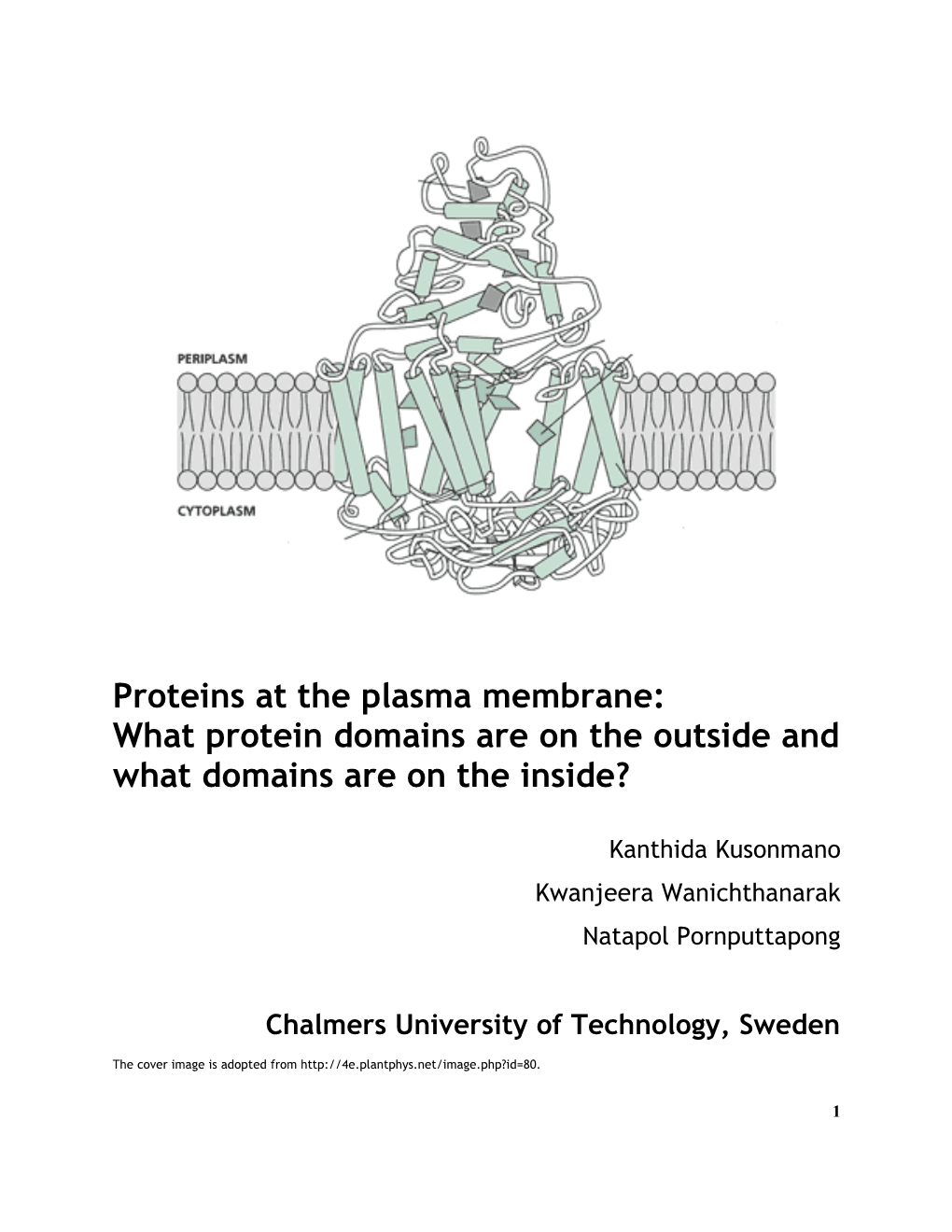 Proteins at the Plasma Membrane: What Protein Domains Are on the Outside and What Domains Are on the Inside?
