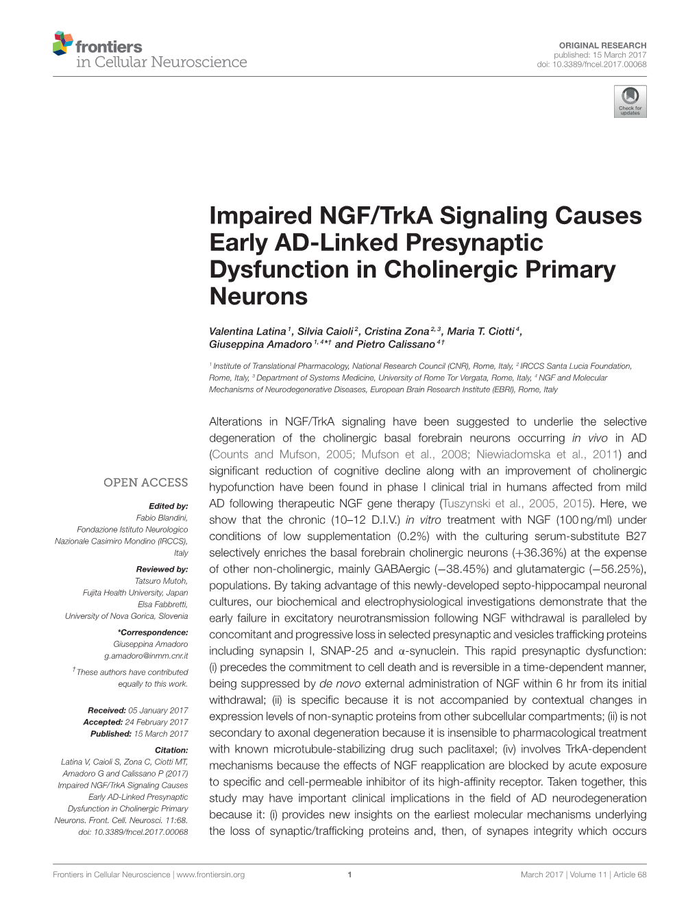 Impaired NGF/Trka Signaling Causes Early AD-Linked Presynaptic Dysfunction in Cholinergic Primary Neurons