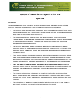 Synopsis of the Northeast Regional Action Plan