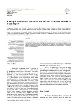 A Unique Anatomical Variant of the Levator Scapulae Muscle: a Case Report