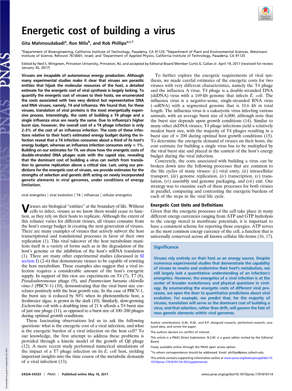 Energetic Cost of Building a Virus