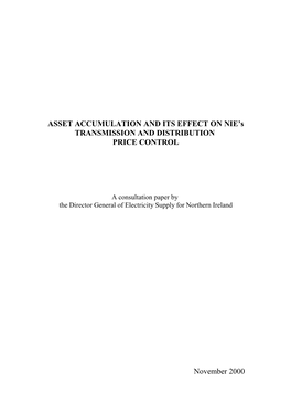 Asset Accumulation and Its Effects on NIE's Transmission And