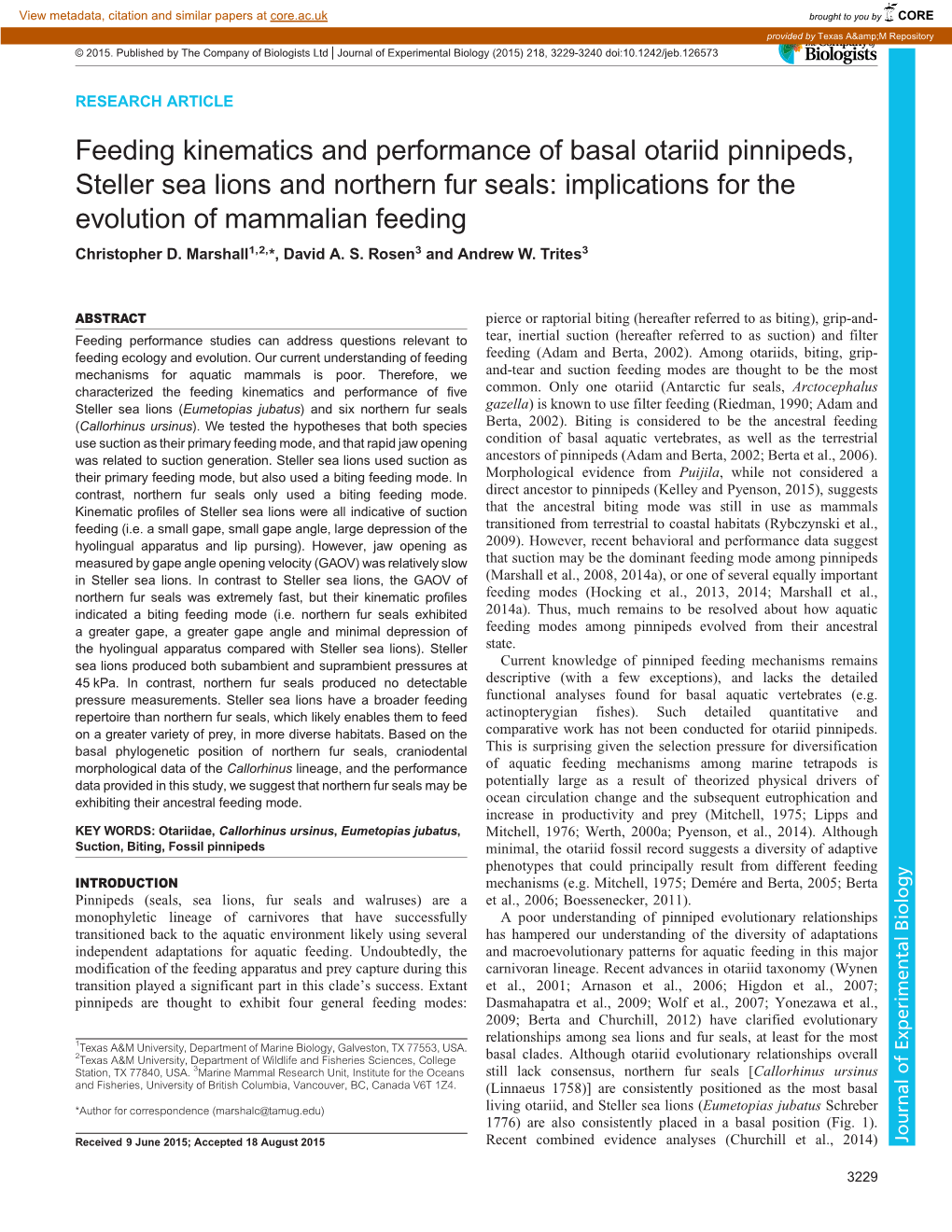 Feeding Kinematics and Performance of Basal Otariid Pinnipeds, Steller Sea Lions and Northern Fur Seals