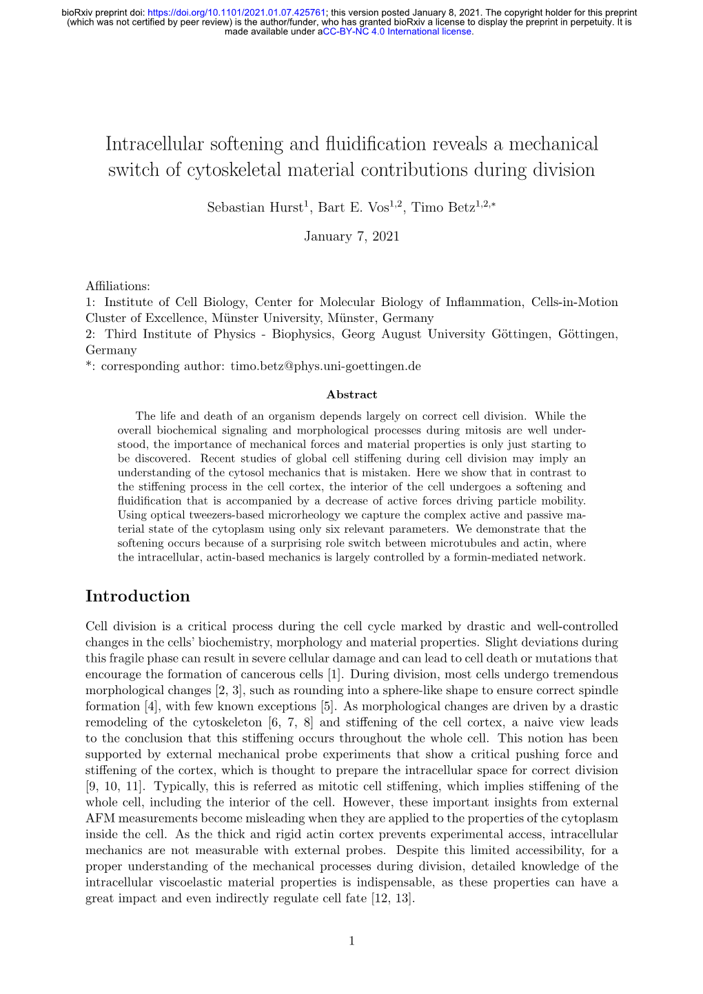 Intracellular Softening and Fluidification Reveals a Mechanical Switch Of