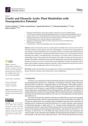 Ursolic and Oleanolic Acids: Plant Metabolites with Neuroprotective Potential