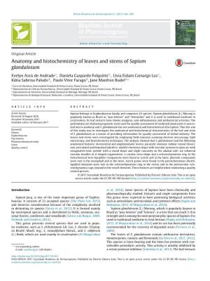 Anatomy and Histochemistry of Leaves and Stems of Sapium Glandulosum