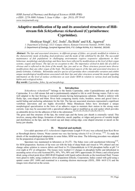 Adaptive Modification of Lip and Its Associated Structures of Hill- Stream Fish Schizothorax Richardsonii (Cypriniformes: Cyprinidae)