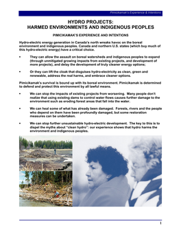 Hydro Projects: Harmed Environments and Indigenous Peoples