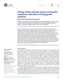 Timing of the Reticular Lamina and Basilar Membrane Vibration in Living Gerbil Cochleae Wenxuan He1, David Kemp2, Tianying Ren1*