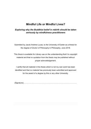 Mindful Life Or Mindful Lives?