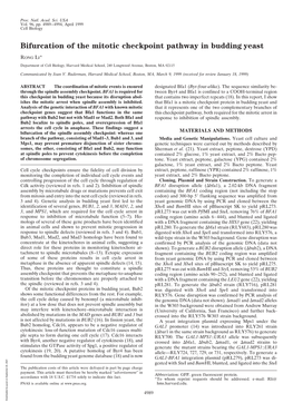 Bifurcation of the Mitotic Checkpoint Pathway in Budding Yeast