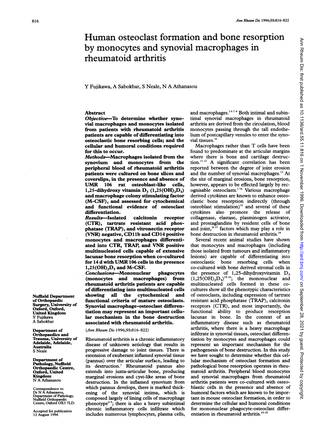 Human Osteoclast Formation and Bone Resorption by Monocytes And