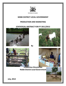 Nebbi District Local Government