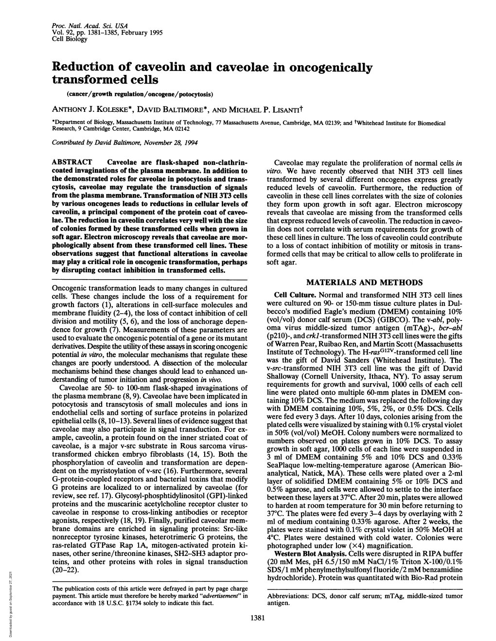 Reduction of Caveolin and Caveolae in Oncogenically Transformed Cells (Cancer/Growth Regulation/Oncogene/Potocytosis)