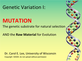 MUTATION the Genetic Substrate for Natural Selection