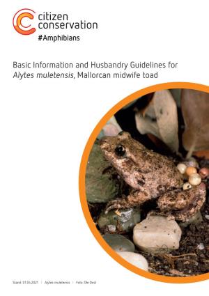 Basic Information and Husbandry Guidelines for Alytes Muletensis, Mallorcan Midwife Toad