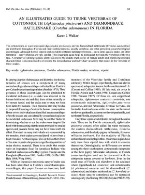 (Agkistrodon Piscivorus) and DIAMONDBACK RATTLESNAKE (Crotalus Adamanteus) in FLORIDA