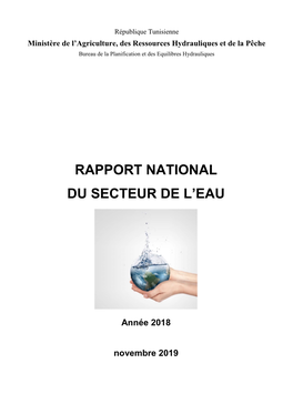 Rapport National Du Secteur De L'eau