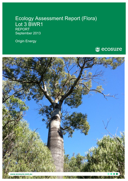 Ecology Assessment Report (Flora) Lot 3 BWR1