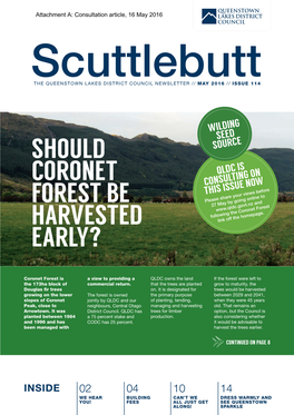 Should Coronet Forest Be Harvested Early?