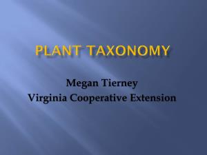 Plant Taxonomy 3 (PDF)