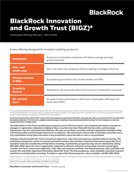 Blackrock Innovation and Growth Trust (BIGZ)* Initial Public Offering: February – March 2021