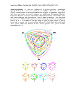 Mandakova TPC2010, Suppl Mat.Pdf