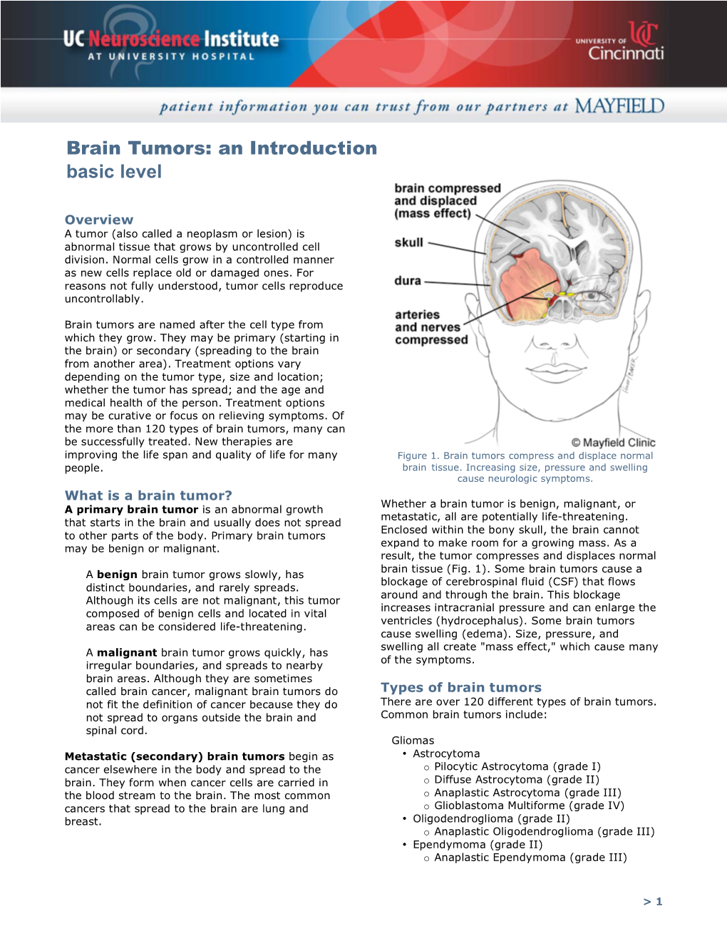 Brain Tumors: an Introduction Basic Level