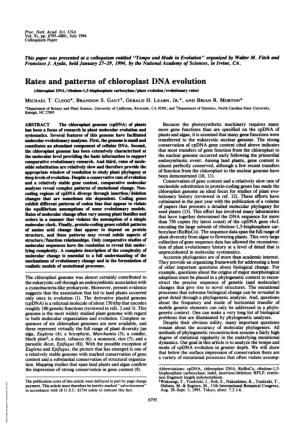 Rates and Patterns of Chloroplast DNA Evolution (Chloroplast DNA/Ribulose-L,5-Bisphosphate Carboxylase/Plant Evolution/Evolutionary Rates) MICHAEL T