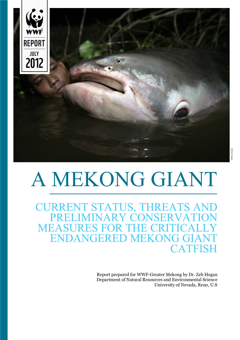 Mekong Giant Catfish Report English Pdf 1.18 MB
