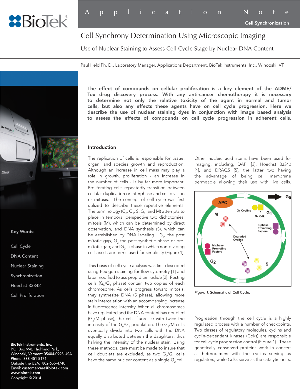 Cell Synchrony Determination Using Microscopic Imaging