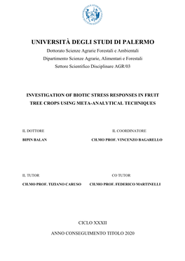 Università Degli Studi Di Palermo