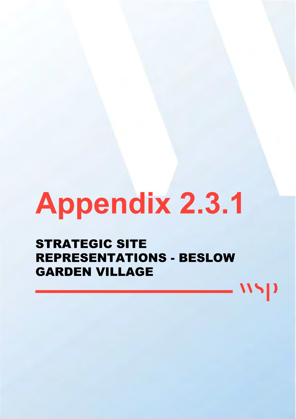 Appendix 2.3.1