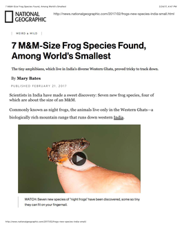 7 M&M-Size Frog Species Found, Among World's Smallest
