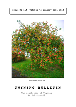 Twyning Bulletin