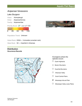 Aquatic Fish Report