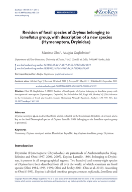 Revision of Fossil Species of Dryinus Belonging to Lamellatus Group, with Description of a New Species (Hymenoptera, Dryinidae)