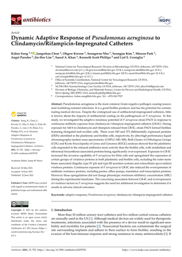 Dynamic Adaptive Response of Pseudomonas Aeruginosa to Clindamycin/Rifampicin-Impregnated Catheters
