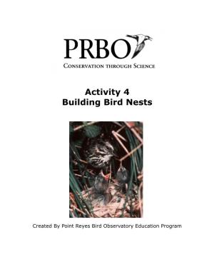 Activity 4 Building Bird Nests
