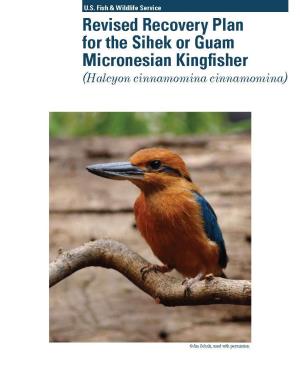 Revised Recovery Plan for the Sihek Or Guam Micronesian Kingfisher (Halcyon Cinnamomina Cinnamomina)