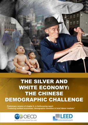 The Chinese Demographic Challenge