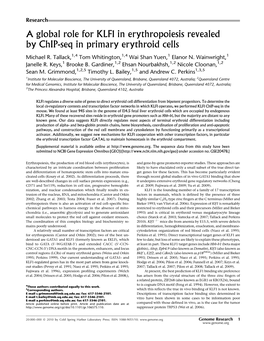 A Global Role for KLF1 in Erythropoiesis Revealed by Chip-Seq in Primary Erythroid Cells