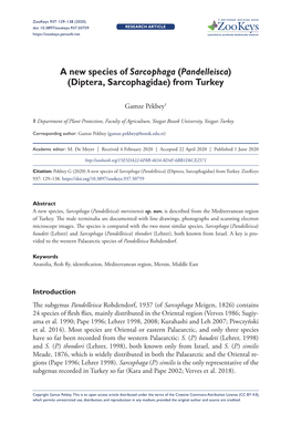 A New Species of Sarcophaga (Pandelleisca) (Diptera, Sarcophagidae) from Turkey