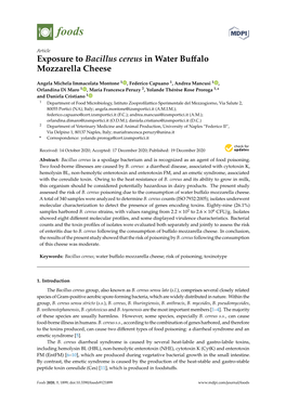 Exposure to Bacillus Cereus in Water Buffalo Mozzarella Cheese