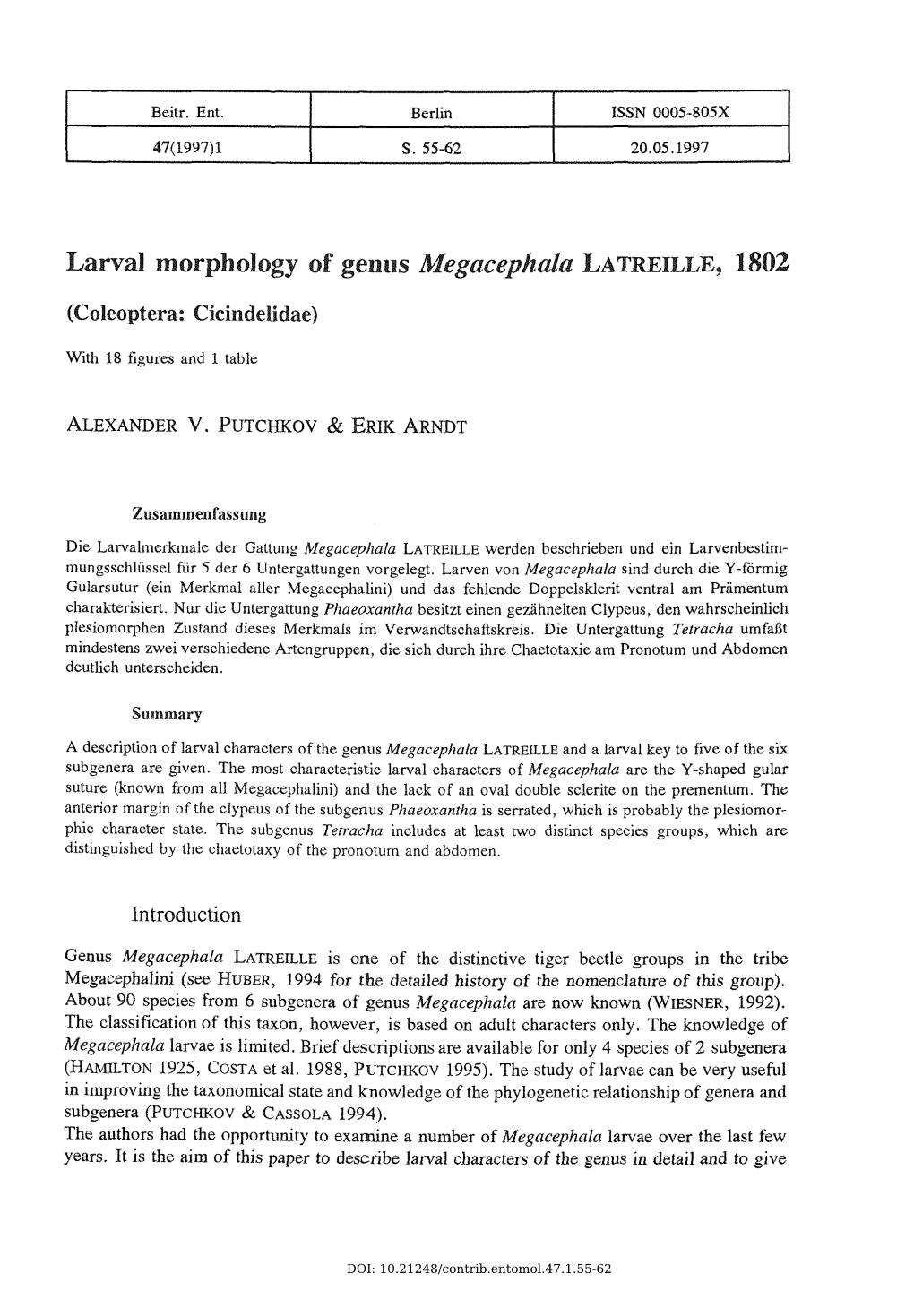 Larval Morphology of Genus Megacephalalatreille, 1802