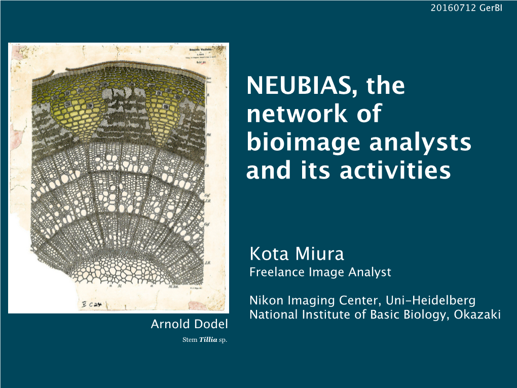NEUBIAS, the Network of Bioimage Analysts and Its Activities